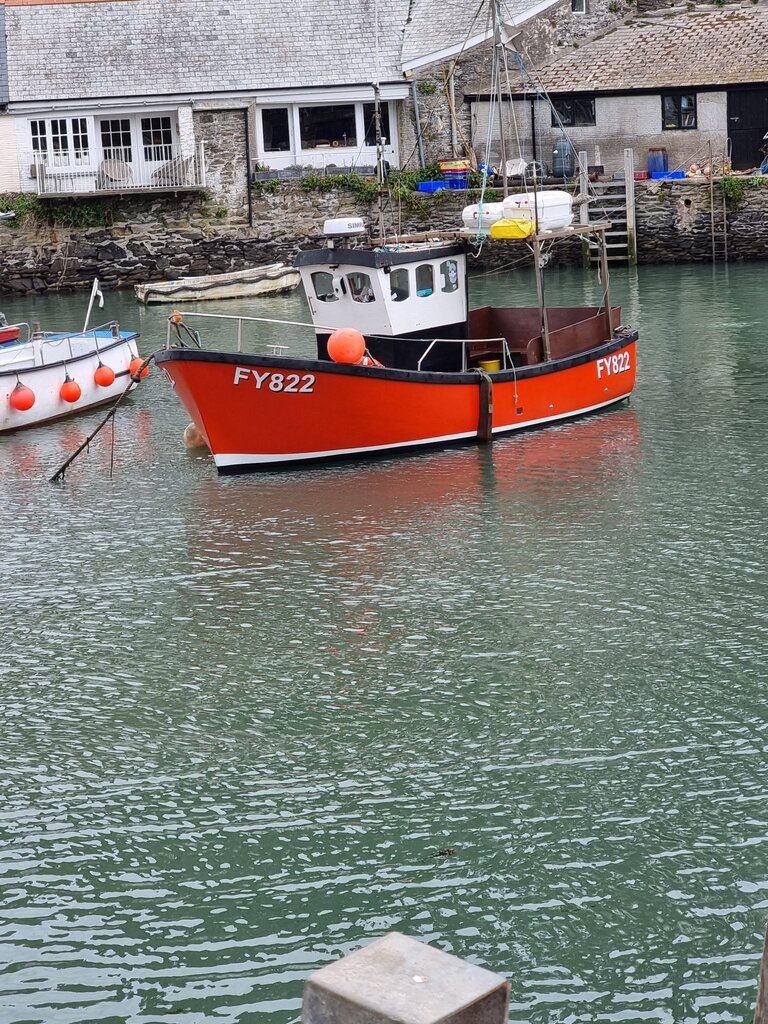 Kingfisher 24