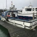 Extra picture for advert 106800