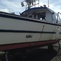 Extra picture for advert 106800